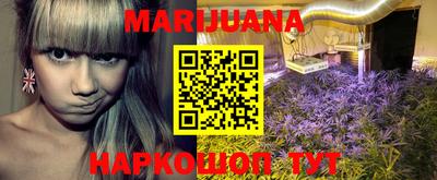 крисы Малгобек