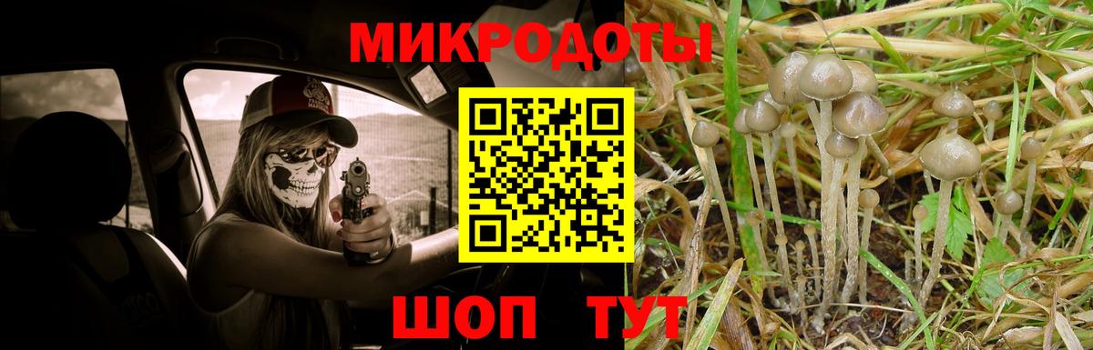Ялуторовск  Псилоцибиновые грибы Psilocybine cubensis  Вход с VPN 